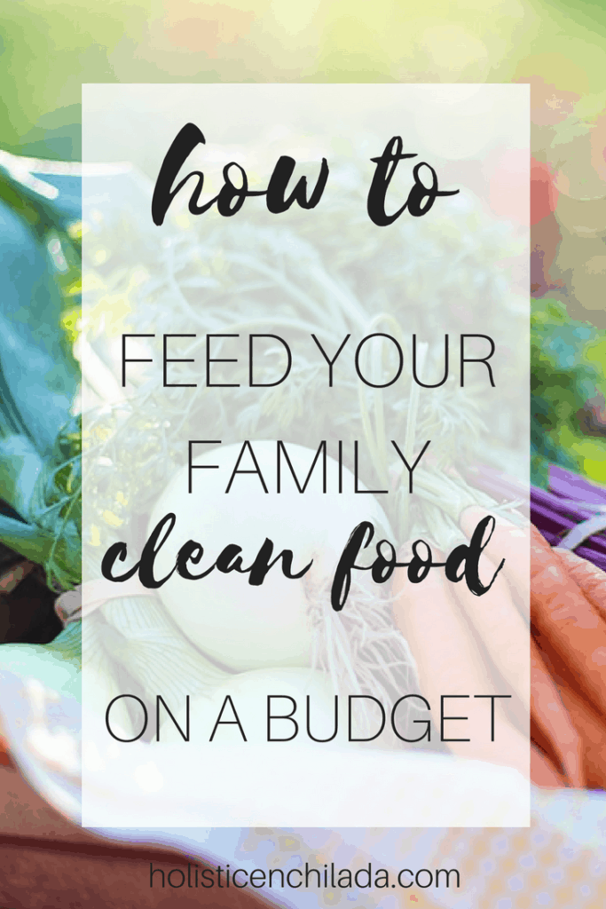 clean food on a budget