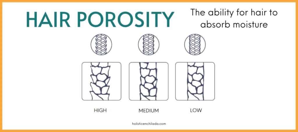 hair porosity visual