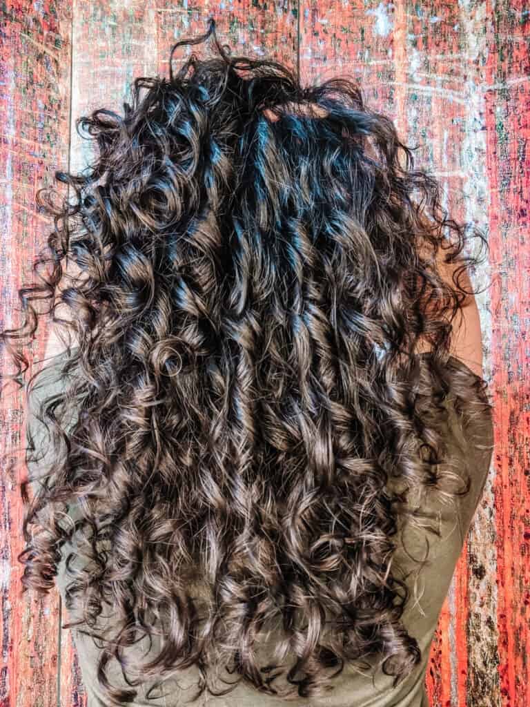 The back of Delilah Orpi's head showing after using EVOLVh SmartCurl on 2b 2c 3a curly hair