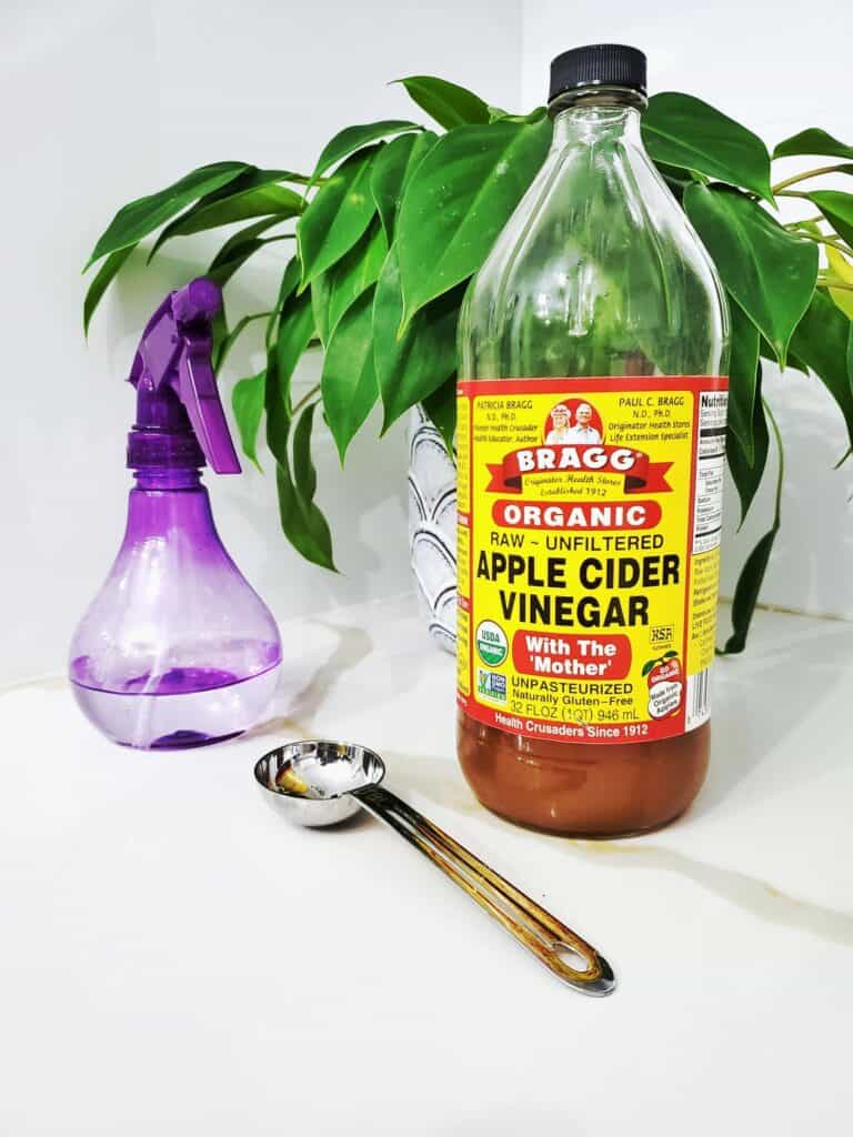 apple cider vinegar bottle next to plant and spray bottle