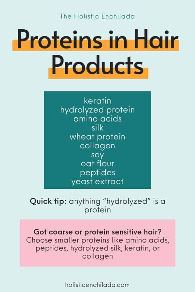 list of proteins in hair products infographic