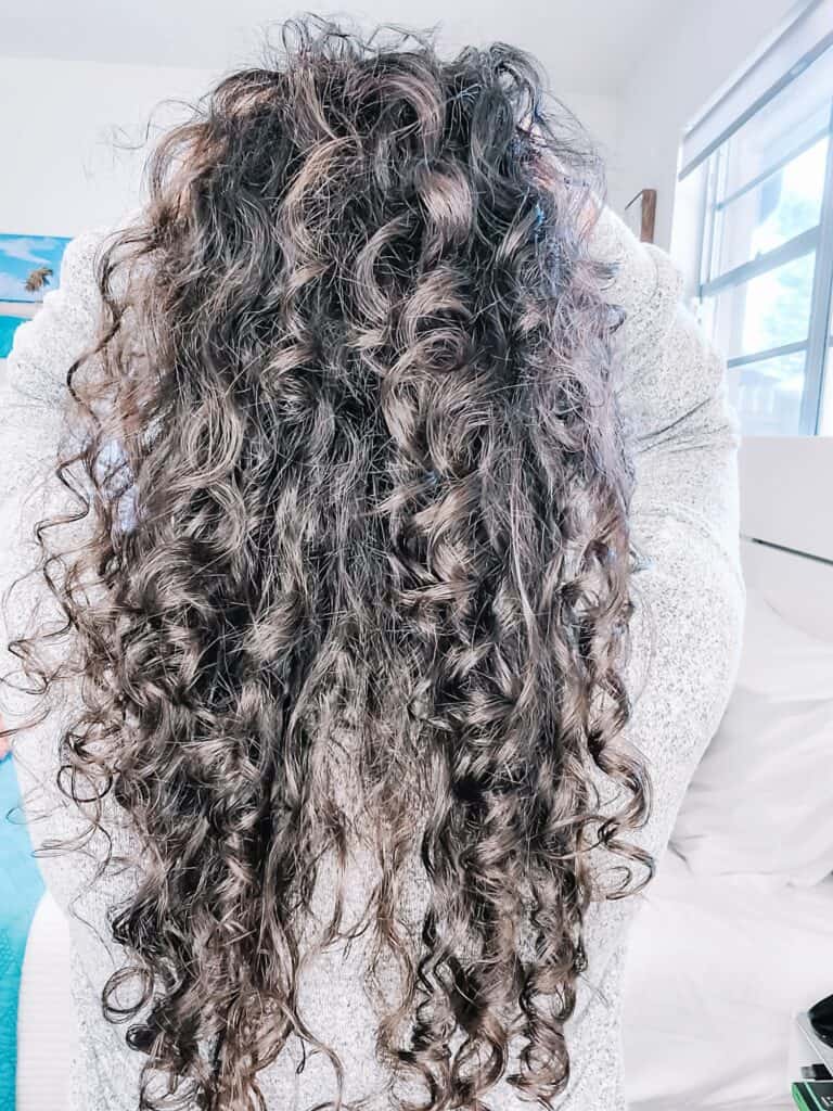 showing backside of fine curly hair after using Twist Essential Moisture Line