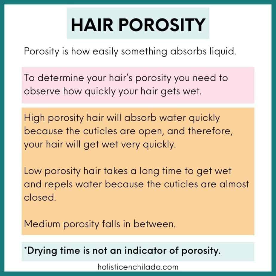 Low vs High Porosity Hair Whats The Difference