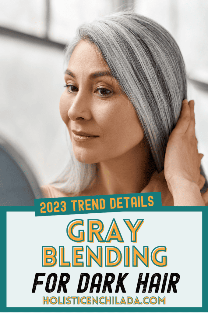 gray blending for dark hair pin image