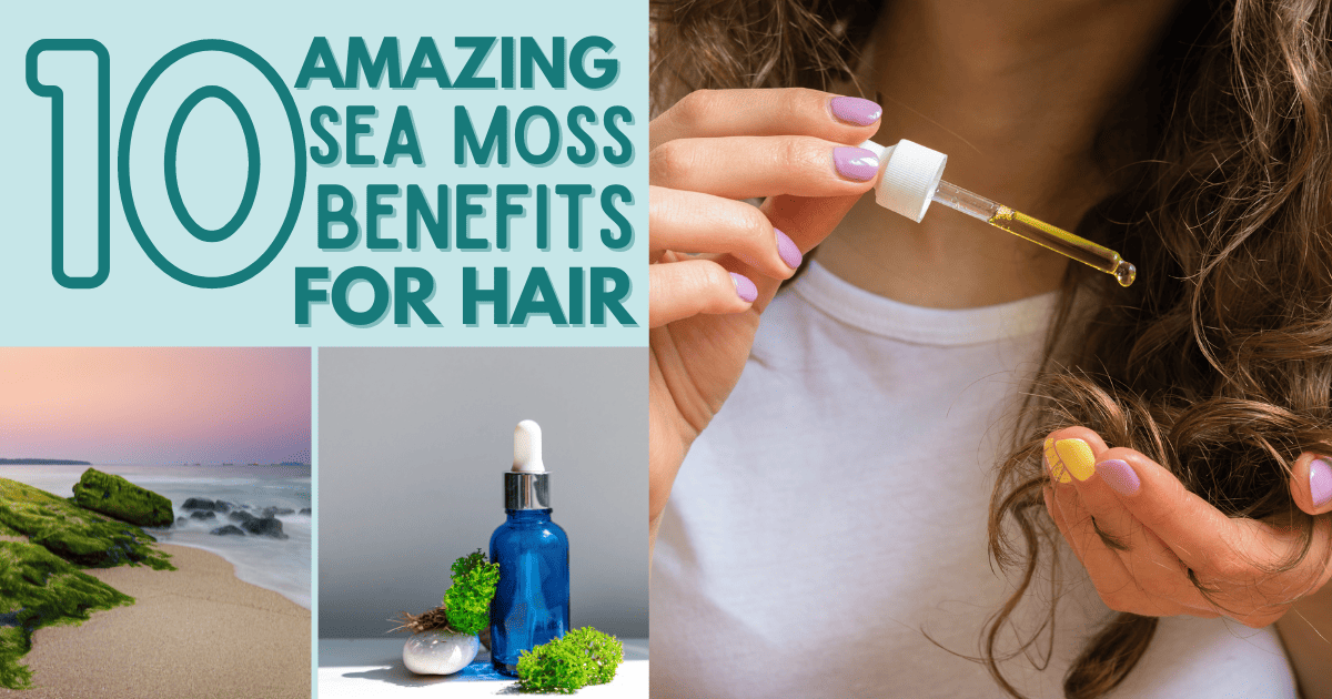 10 Amazing Sea Moss Benefits for Hair